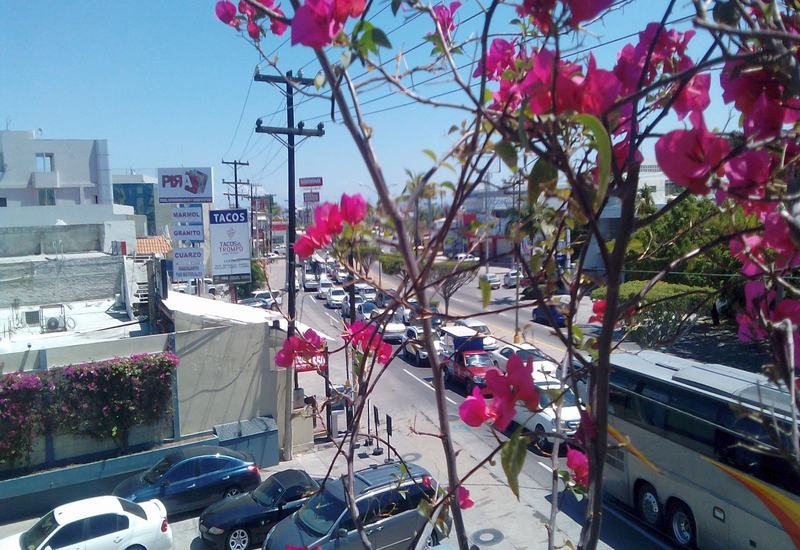 Hotel Mazatlán Kültér fotó